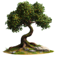 A flowering tree with a curving trunk and exposed roots png