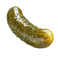 Detailed View of a Single Pickle png