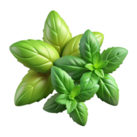 Fresh Herbs Basil and Mint Leaves png
