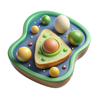 3D Cell Organelles Structure, Function Visualization png