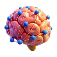 Neural Network Brain Connectivity and Cognitive Function png