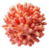Cellular Structure 3D Model of a Biological Cell png