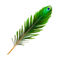 Vibrant Peacock Feather with Intricate Patterns and Bright Colors png