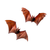Two Flying Bats with Open Wings png