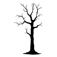 Silhouetted Leafless Tree with Intricate Branch Patterns in Nature png