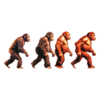 Evolution of Primates from Ape to Human in Artistic Illustration png