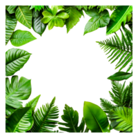 Lush Green Leaves Frame with Varied Textures for Nature Background png