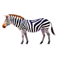 Realistic zebra illustration with striking black and white stripes png