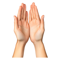 Hands Raised Together in Gesture of Unity and Collaboration png