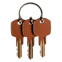 Rusty Keys on Ring Isolated on for Security Concept png