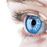 Close up Blue Human Eye Iris on transparent background. png