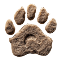 Sandy Paw Print Close Up on transparent background. png