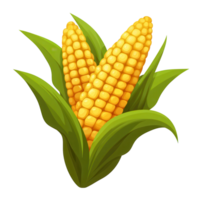 Fresh Corn Cobs Isolated Background on transparent background. png
