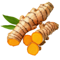 Turmeric Root Transparent Background on transparent background. png