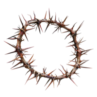 Sharp intertwined crown of thorns made of twisted branches isolated on transparent background png