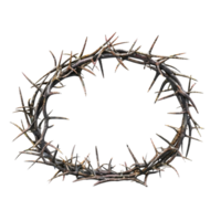 Sharp thorny crown made of intertwined branches isolated on transparent background png
