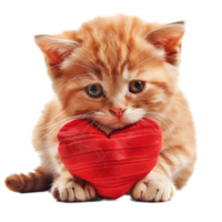 Sweet ginger kitten cuddling a plush red heart pillow isolated on transparent background png