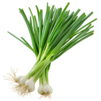 Bunch of fresh spring onions with long green leaves and small roots isolated on transparent background png