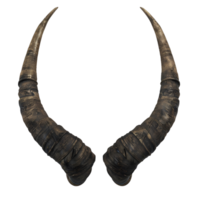 Pair of curved black buffalo horns with a rough texture and pointed tips isolated on transparent background png