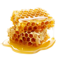 Close-up of fresh honeycomb with hexagonal cells filled with golden honey isolated on transparent background png