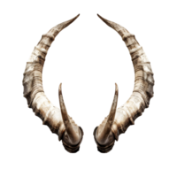 Pair of symmetrical deer antlers with a natural curved shape and rustic texture isolated on transparent background png