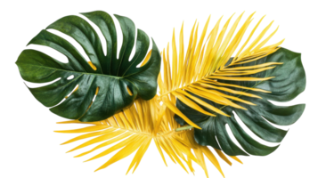 Vibrant green and yellow tropical leaves create a striking visual display for decor or design projects png