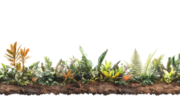 Lush green plants and ferns displaying vibrant colors in a natural setting during daylight hours png
