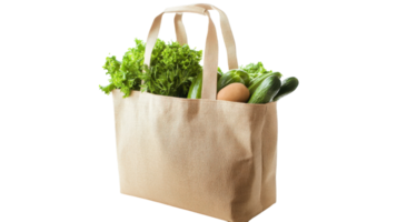 Fresh vegetables and eggs in a reusable shopping bag from a local market during a sunny afternoon png