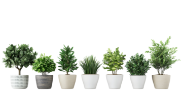A row of different types of plants in white pots png