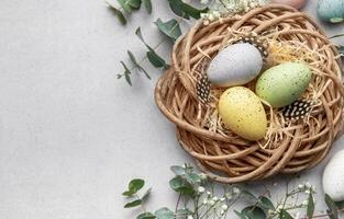 Easter eggs lying in nest with flowers and eucalyptus leaves photo