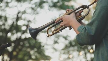A person playing a trumpet in front of trees video