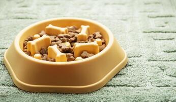 Slow feeder dog bowl preventing gulping and improving digestion on green background photo