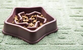 Star shaped slow feeder bowl on textured carpet photo