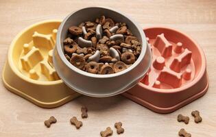 Empty Slow feeder dog bowls preventing gulping and improving digestion photo