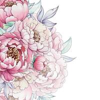 A vibrant display of peonies unfolds with soft pinks and whites, capturing the essence of summers bloom and the tranquility of natures palette. vector