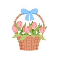 Basket with fresh spring tulips on white background. vector