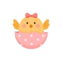 Cute little chicken hatched from an egg. vector
