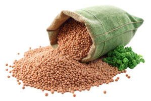 Fertilizer Boosts Plant Growth and Enhances Soil Health png