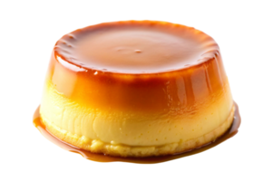 Flan Made Easy for Home Bakers png