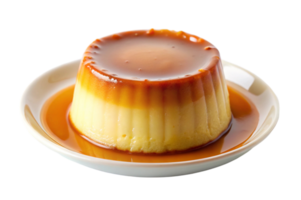 Flan Secrets You Need to Know png