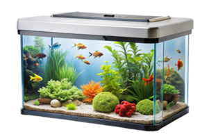 Fish Tanks Easy Setup and Maintenance png