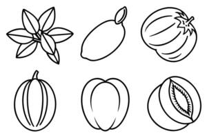 A set of fruit and vegetables coloring pages vector