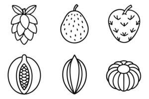 A set of fruit icons in a line drawing vector