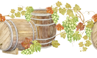 Pattern of old wooden barrels and wine vine. Seamless watercolor frame with casks for juice fermentation and green grape berries. Illustration for winery, distillery and wine production design. png