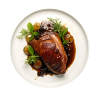 a plate with steak duck on it with sauce png