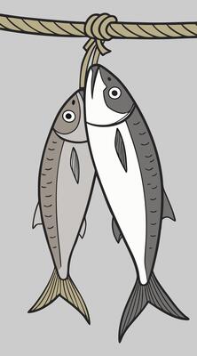 Fish hung on a rope for decoration