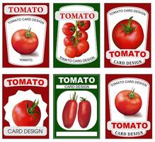 Tomato card design. Tomato label. Retro sticker of natural product tomatoes. Realistic image of vegetables vector