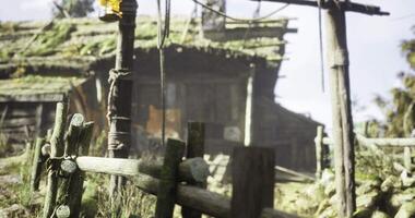 Rustic wooden structure surrounded by nature with a lantern in daylight video