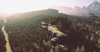 Majestic mountain landscape with lush forests and expansive views video