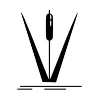 Reed icon. illustration of a reed on white background. vector